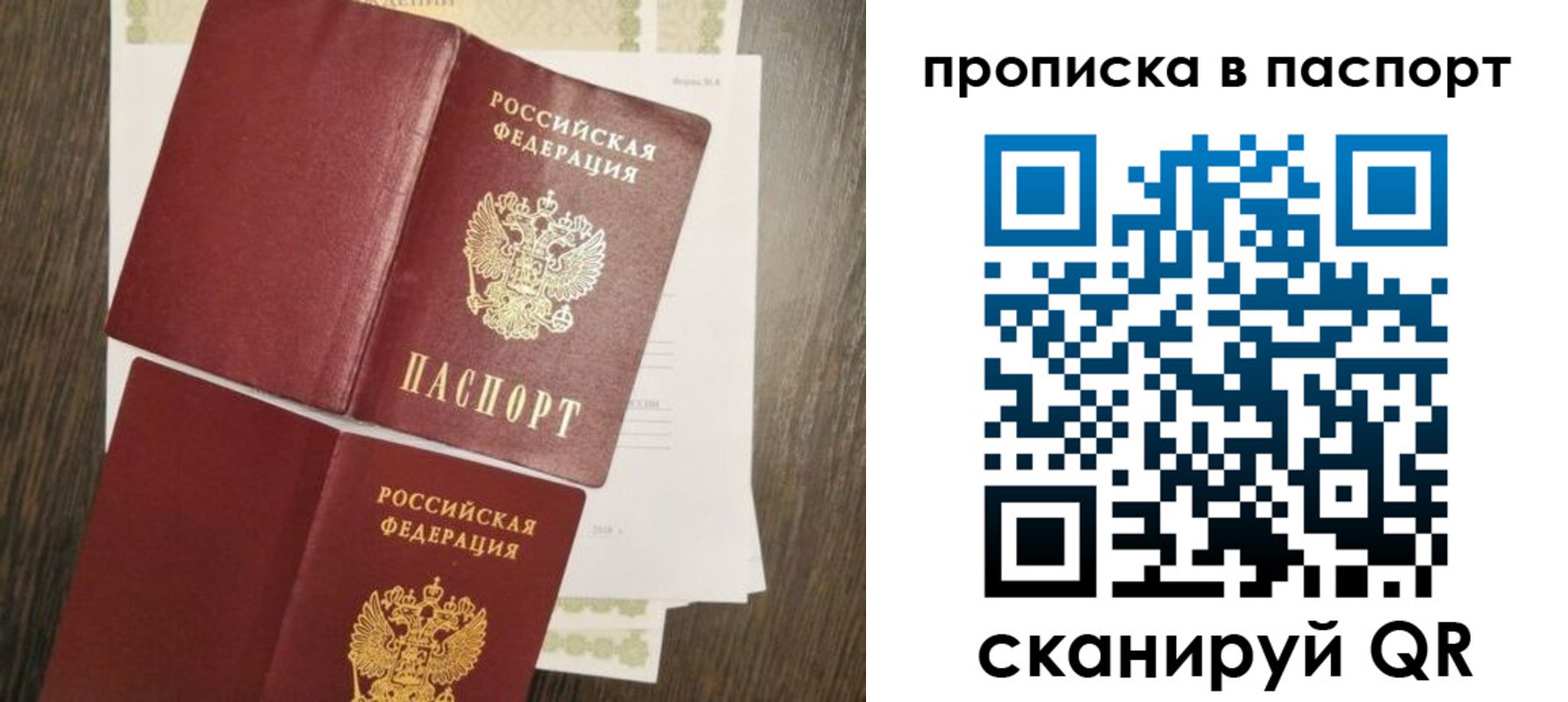 прописка гарантия в Камызяке