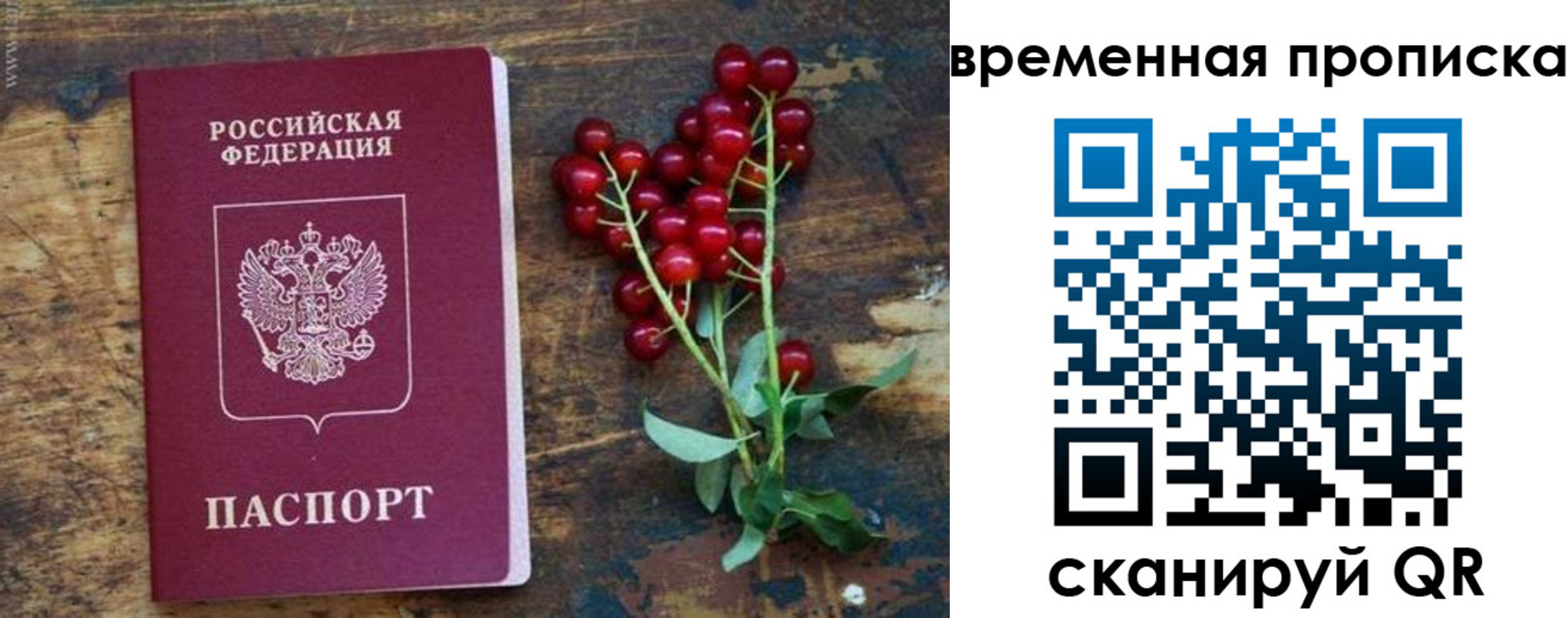 временная регистрация гарантия в Камызяке