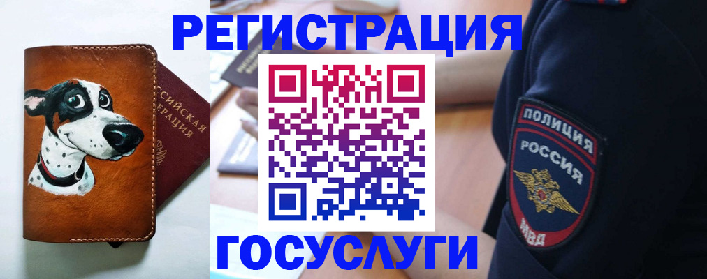 временная регистрация в квартире в Камызяке